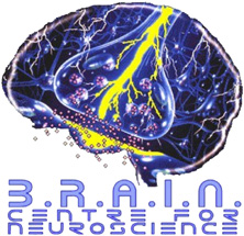 The B.R.A.I.N. Centre for Neuroscience (in Italian)