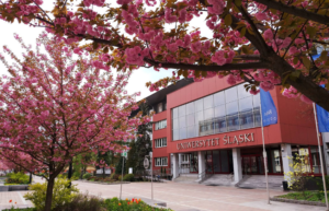 silesia university