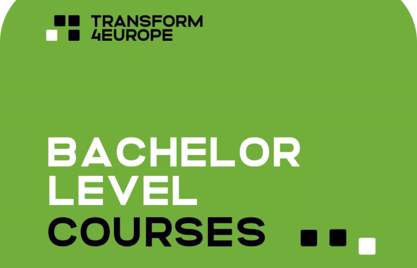 Bachelor Track Courses at Vytautas Magnus University